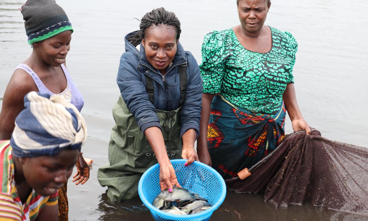 52051979445 6bd7ad8103 k 1